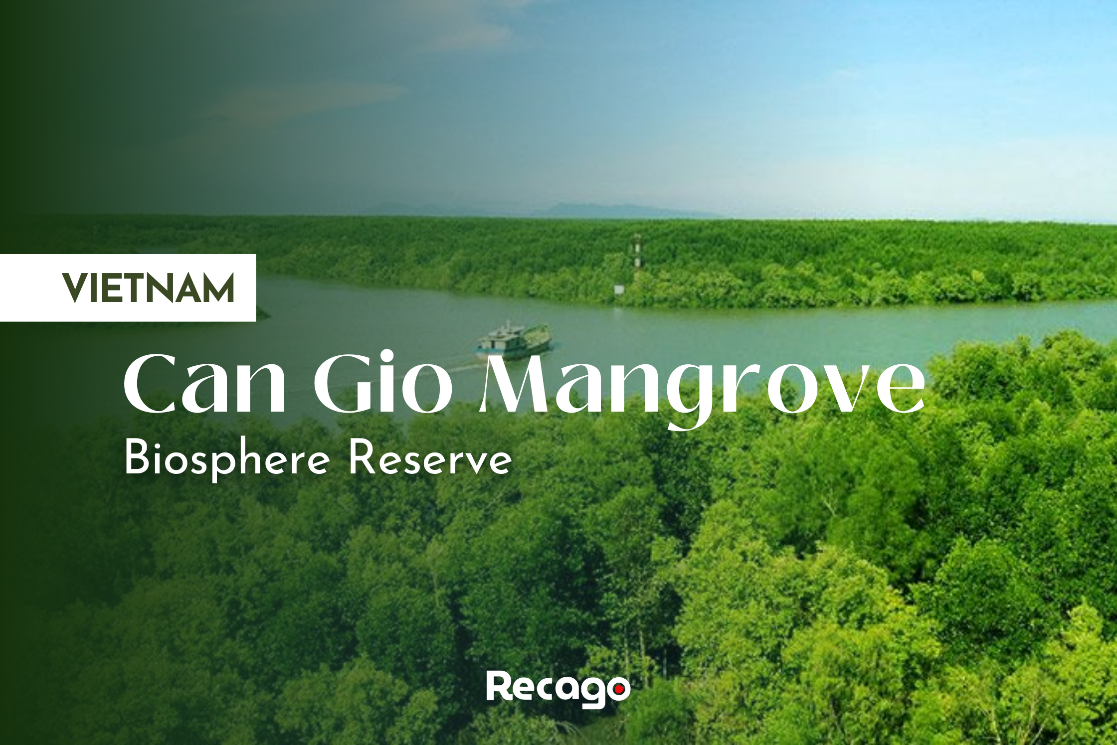 [VIETNAM TRAVEL] An experience to “Island of paradise” – Can Gio Mangrove Biosphere Reserve
