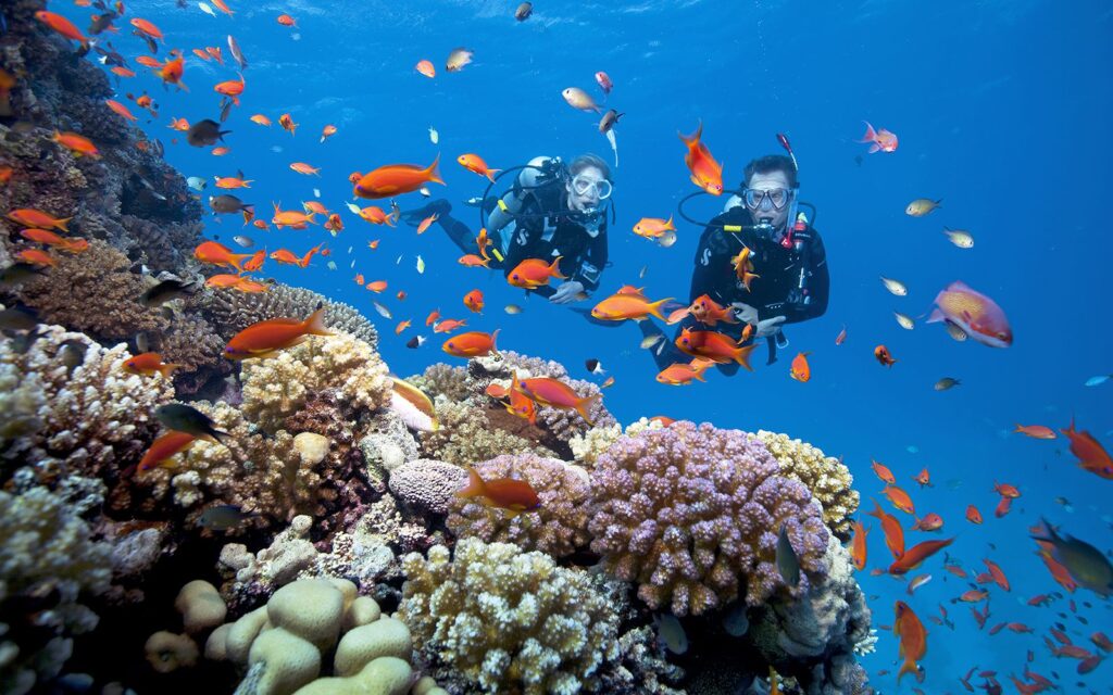 Six Senses Côn Đảo - lặn ngắm san hô