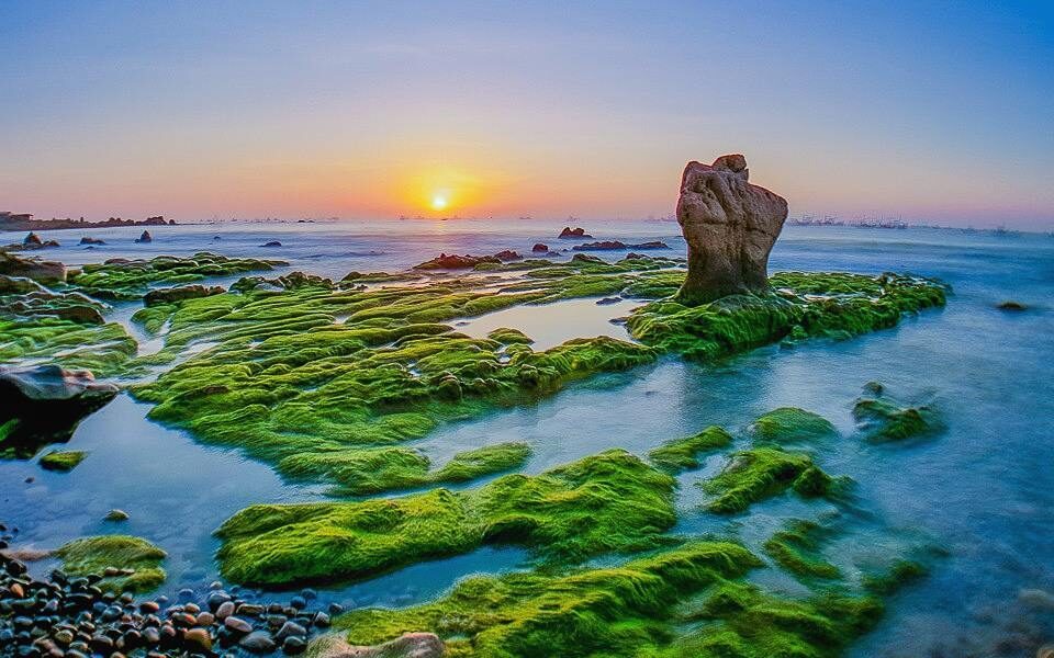 bãi biển Mũi Né - bãi đá cổ thạch - bãi rêu xanh