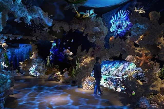attractions in Jakarta - Jakarta aquarium & safari