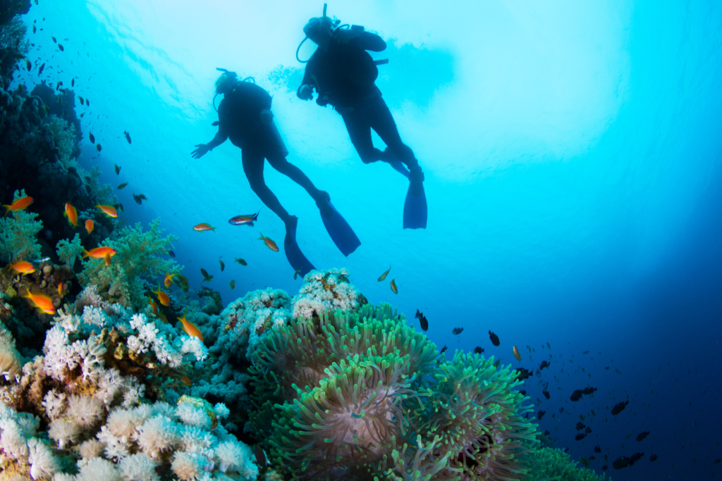 best time to visit Phu Quoc coral reefs