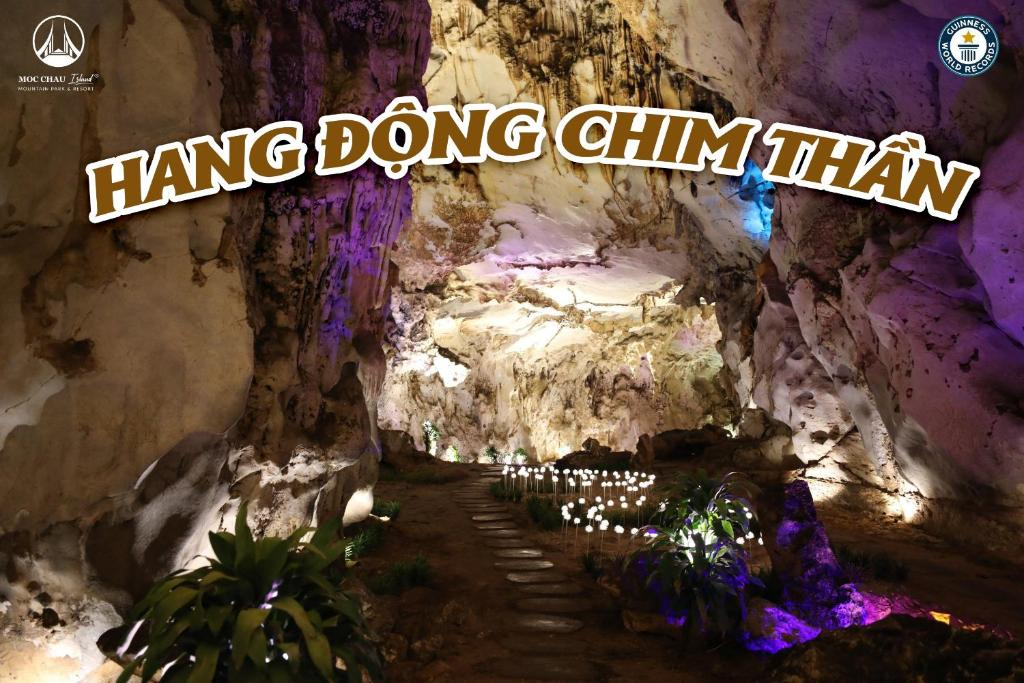 Du lịch Mộc Châu tự túc - Mộc Châu Island - Lune Village