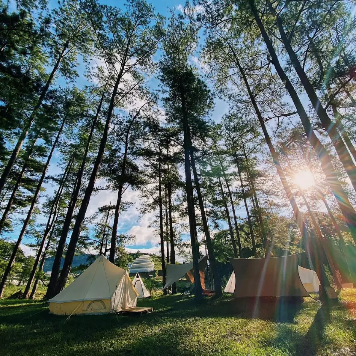 khu camping gần Hà Nội - Ba Vì